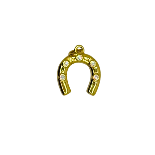 Lucky Horse Shoe Charm